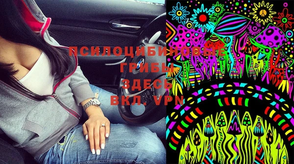 дурь Аша