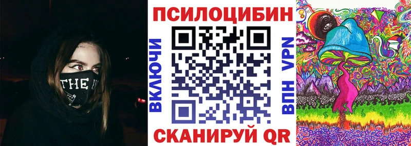 закладка  Миллерово  Псилоцибиновые грибы Psilocybe 