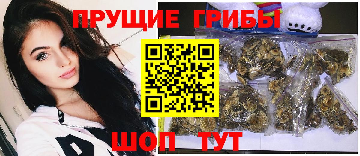Миллерово  Псилоцибиновые грибы Psilocybe  купить наркоту  Вход с VPN 